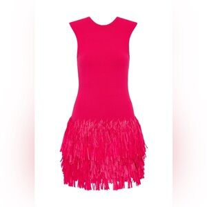 Aje fringe dress in pink brand new with tag
#fringedress